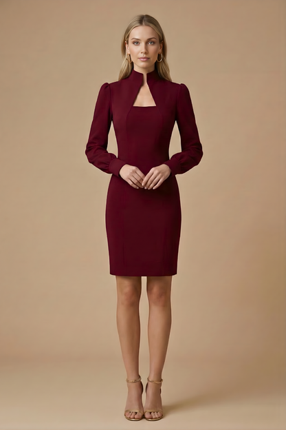 Damen Mini Kleid mit langen Ärmeln, Stehkragen und Ausschnittdetail-Mini Dress-Alpenkind