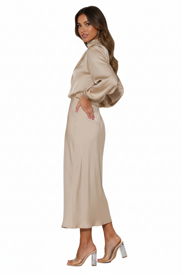 Damenkleid mit drapiertem Stehkragen-Midi Dress-Alpenkind