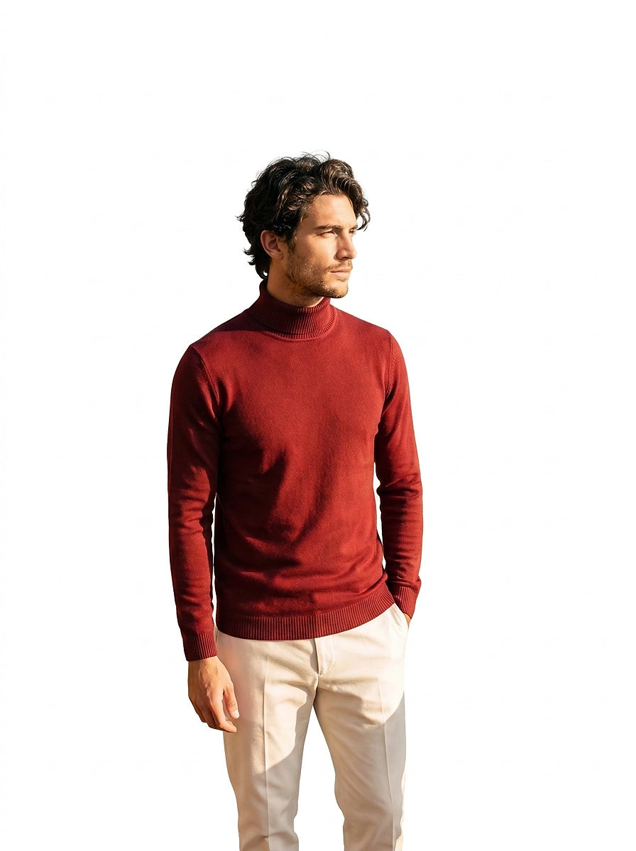 Herren-Rollkragenpullover mit langen Ärmeln-Sweaters for men-Alpenkind