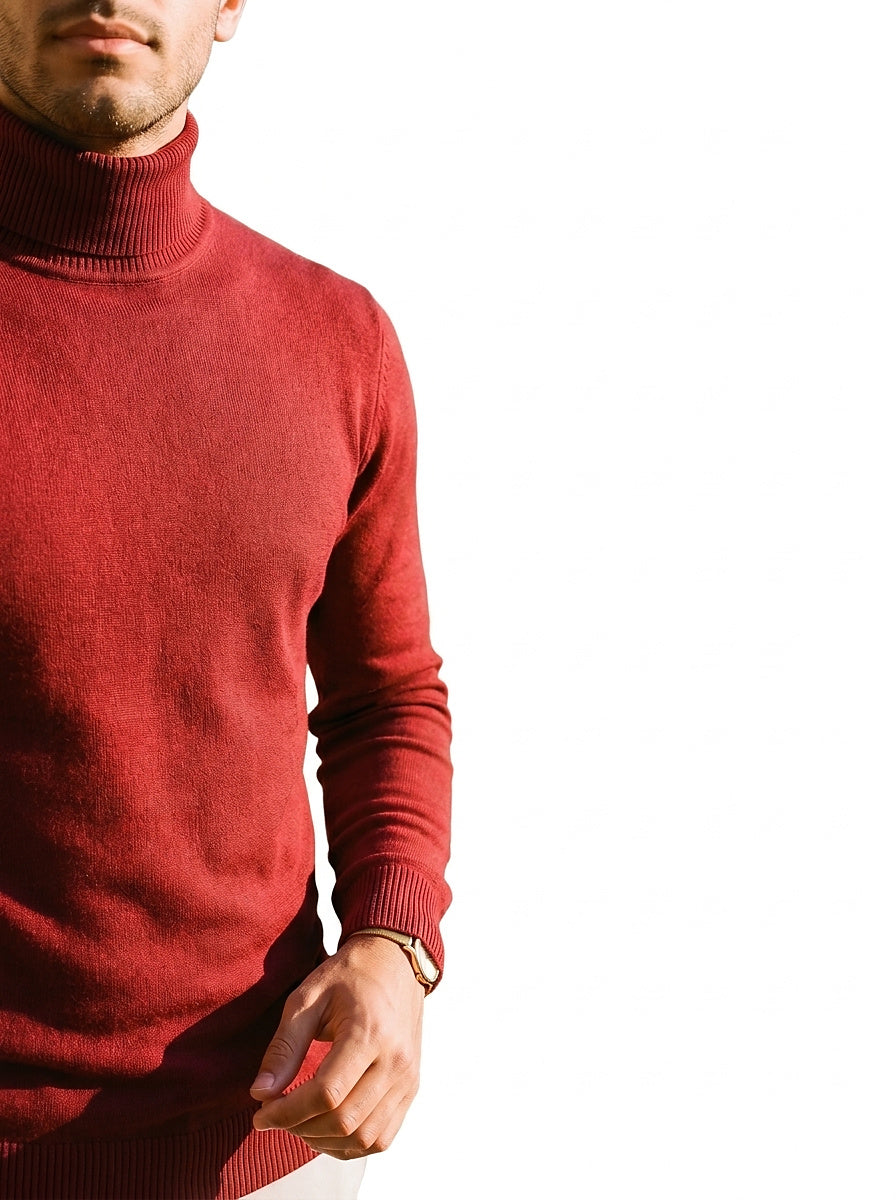 Herren-Rollkragenpullover mit langen Ärmeln-Sweaters for men-Alpenkind