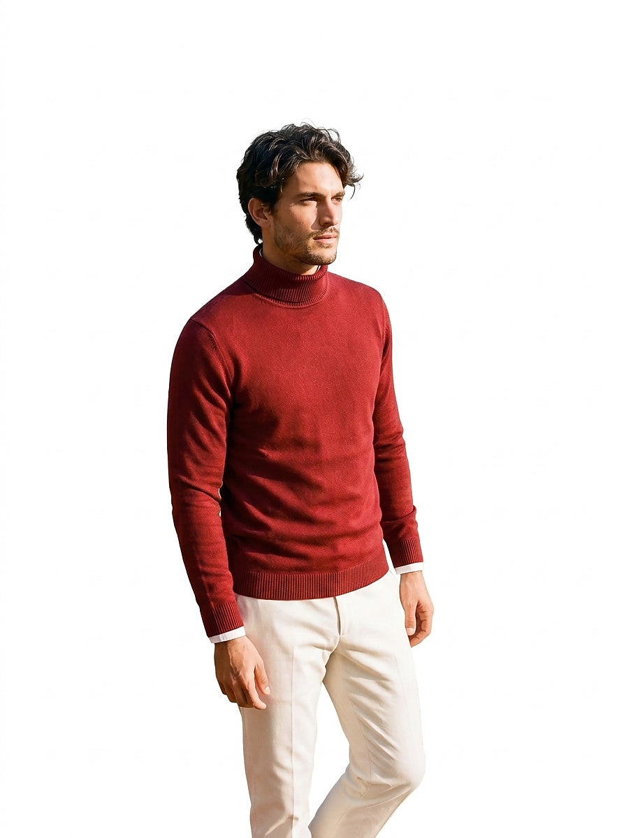 Herren-Rollkragenpullover mit langen Ärmeln-Sweaters for men-Alpenkind