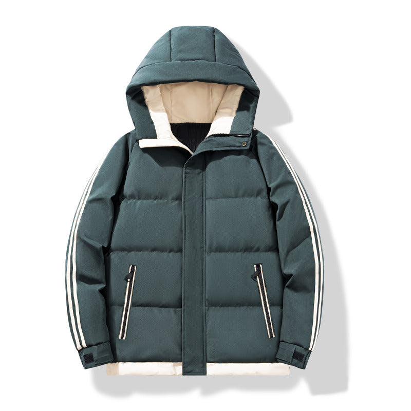 Herren-Steppjacke mit Kapuze und gestreiften Ärmeln-Jackets for men-Alpenkind